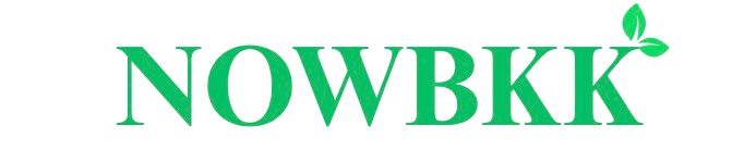 NOWBKK LLC